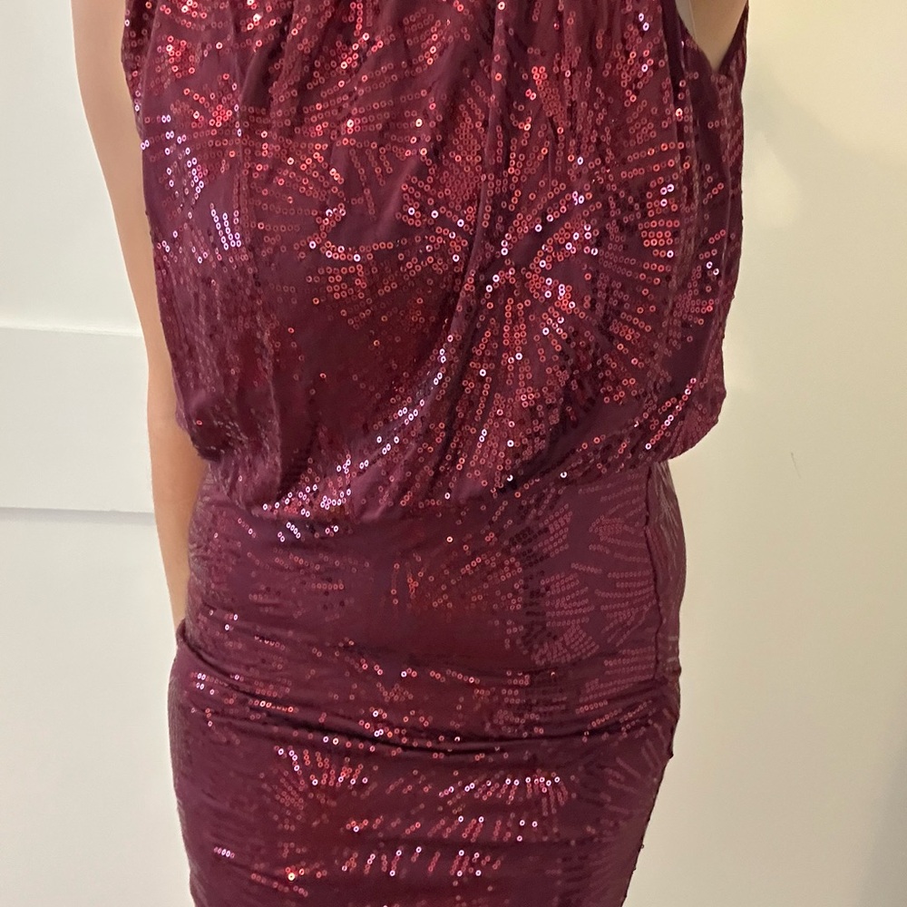 Elegant Maroon Sleeveless Sequin Dress